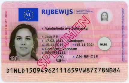 Buy Dutch Driver’s License